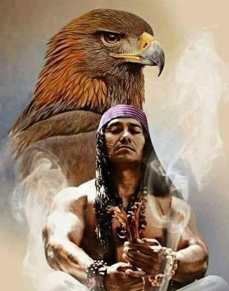 indio aguia